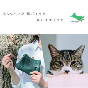 aoneco,アオネコ,保護ネコ